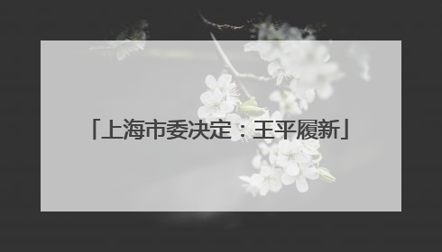 上海市委决定：王平履新