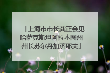 上海市市长龚正会见哈萨克斯坦阿拉木图州州长苏尔丹加济耶夫