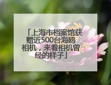 上海市档案馆获赠近500台海鸥相机，来看相机曾经的样子
