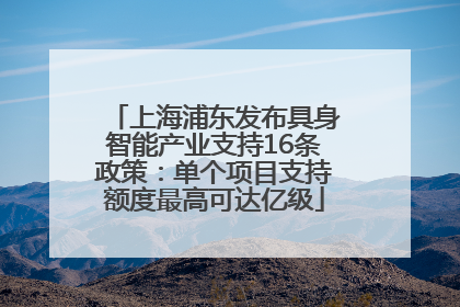上海浦东发布具身智能产业支持16条政策：单个项目支持额度最高可达亿级