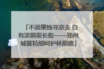 不须秉烛寻凉去 自有浓荫覆长街——郑州城管精细呵护林荫路