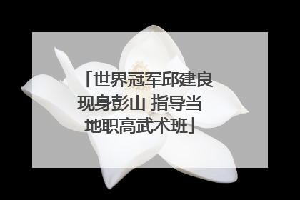 世界冠军邱建良现身彭山 指导当地职高武术班