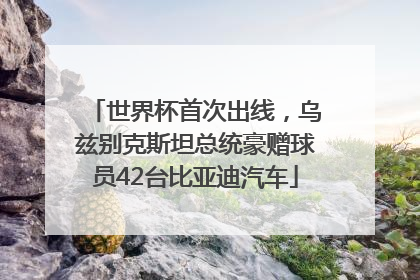 世界杯首次出线，乌兹别克斯坦总统豪赠球员42台比亚迪汽车