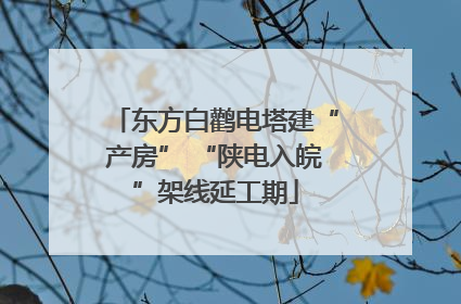 东方白鹳电塔建“产房” “陕电入皖”架线延工期