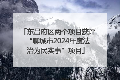 东昌府区两个项目获评“聊城市2024年度法治为民实事”项目