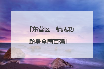 东营区一镇成功跻身全国百强
