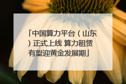 中国算力平台（山东）正式上线 算力租赁有望迎黄金发展期