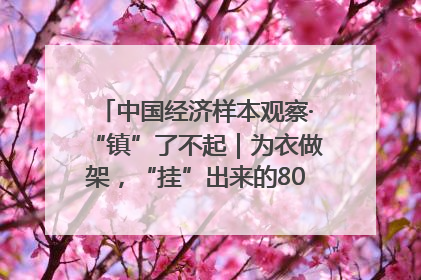 中国经济样本观察·“镇”了不起｜为衣做架，“挂”出来的80亿元“衣架产业”