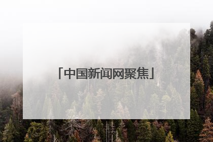 中国新闻网聚焦