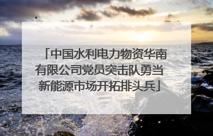 中国水利电力物资华南有限公司党员突击队勇当新能源市场开拓排头兵