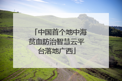 中国首个地中海贫血防治智慧云平台落地广西
