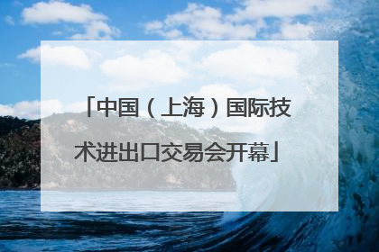 中国（上海）国际技术进出口交易会开幕