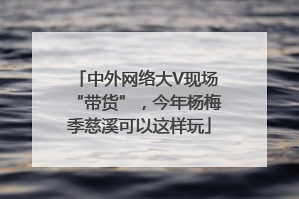 中外网络大V现场“带货”，今年杨梅季慈溪可以这样玩