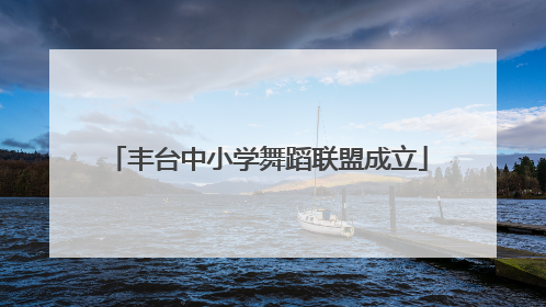 丰台中小学舞蹈联盟成立