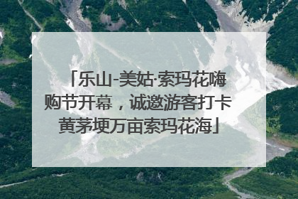 乐山-美姑·索玛花嗨购节开幕，诚邀游客打卡黄茅埂万亩索玛花海