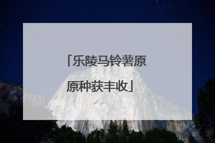 乐陵马铃薯原原种获丰收