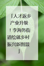 人才返乡 产业升级！李海务街道绘就乡村振兴新图景