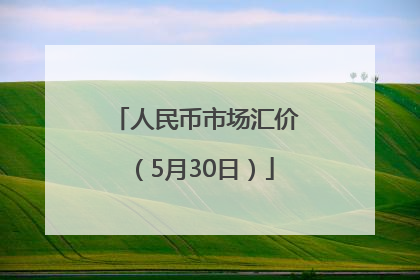 人民币市场汇价（5月30日）