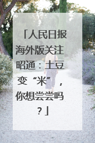 人民日报海外版关注昭通：土豆变“米”，你想尝尝吗？