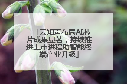 云知声布局AI芯片成果显著，持续推进上市进程助智能终端产业升级
