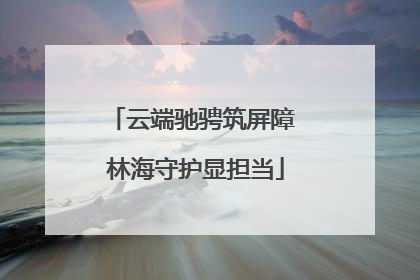 云端驰骋筑屏障 林海守护显担当