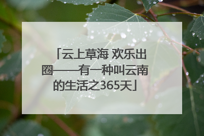 云上草海 欢乐出圈——有一种叫云南的生活之365天