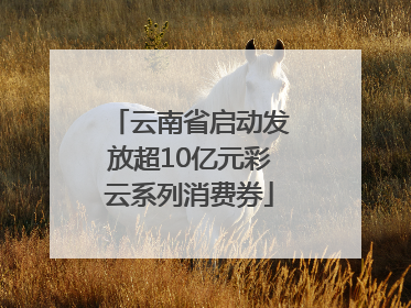 云南省启动发放超10亿元彩云系列消费券