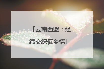 云南西盟：经纬交织佤乡情