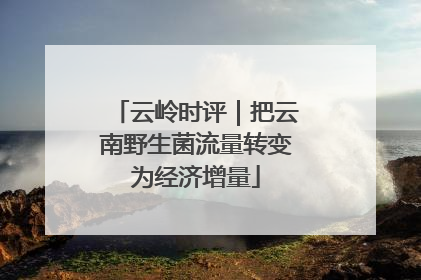 云岭时评｜把云南野生菌流量转变为经济增量