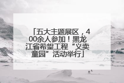 五大主题展区，400余人参加！黑龙江省希望工程“义卖童园”活动举行