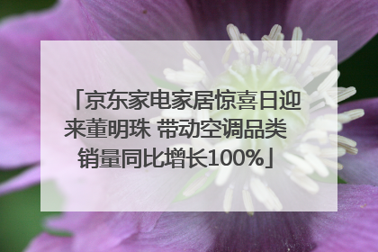 京东家电家居惊喜日迎来董明珠 带动空调品类销量同比增长100%