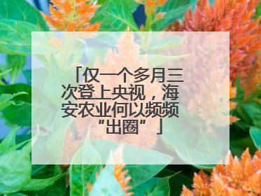 仅一个多月三次登上央视，海安农业何以频频“出圈”