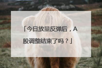 今日放量反弹后，A股调整结束了吗？