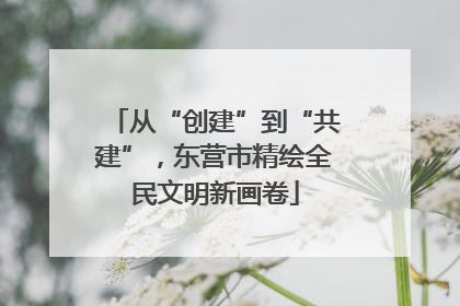 从“创建”到“共建”，东营市精绘全民文明新画卷