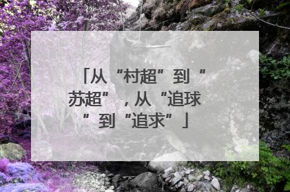 从“村超”到“苏超”，从“追球”到“追求”