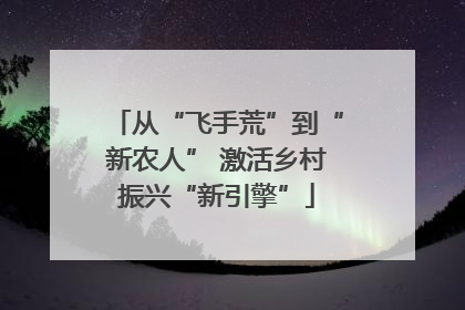 从“飞手荒”到“新农人” 激活乡村振兴“新引擎”