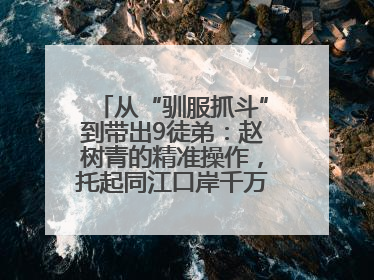 从“驯服抓斗”到带出9徒弟：赵树青的精准操作，托起同江口岸千万吨过货量