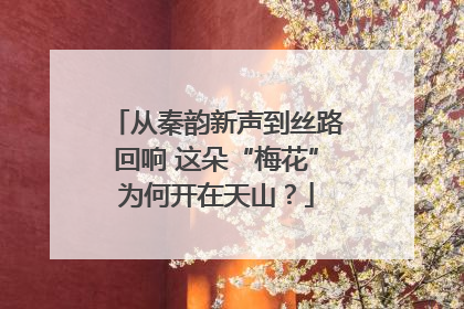 从秦韵新声到丝路回响 这朵“梅花”为何开在天山？