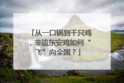 从一口锅到千只鸡，非遗东安鸡如何“飞”向全国？
