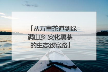从万里茶道到绿满山乡 安化黑茶的生态致富路