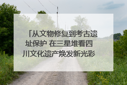 从文物修复到考古遗址保护 在三星堆看四川文化遗产焕发新光彩｜您牵挂的四川