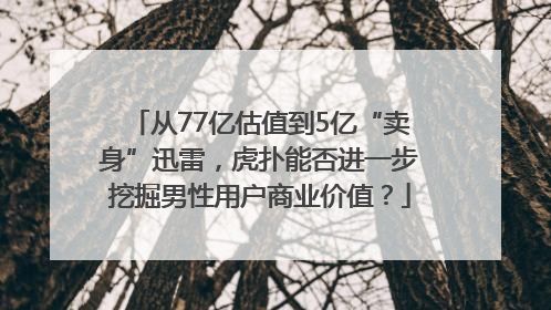 从77亿估值到5亿“卖身”迅雷，虎扑能否进一步挖掘男性用户商业价值？