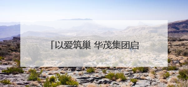 以爱筑巢 华茂集团启动2025“困难儿童学居改善”公益项目