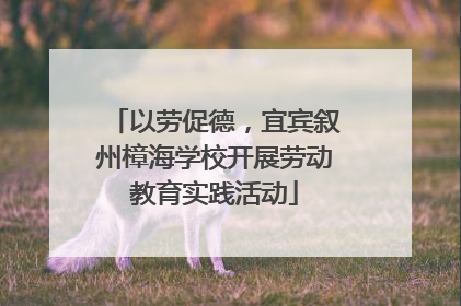 以劳促德，宜宾叙州樟海学校开展劳动教育实践活动