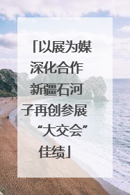 以展为媒 深化合作 新疆石河子再创参展“大交会”佳绩