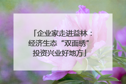企业家走进益林：经济生态“双面绣” 投资兴业好地方