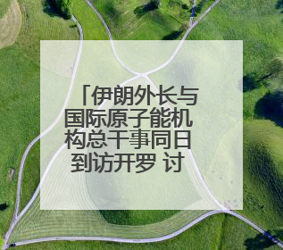 伊朗外长与国际原子能机构总干事同日到访开罗 讨论伊核问题