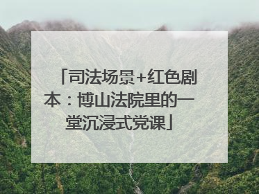 司法场景+红色剧本：博山法院里的一堂沉浸式党课