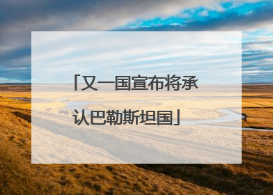 又一国宣布将承认巴勒斯坦国