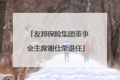 友邦保险集团董事会主席谢仕荣退任